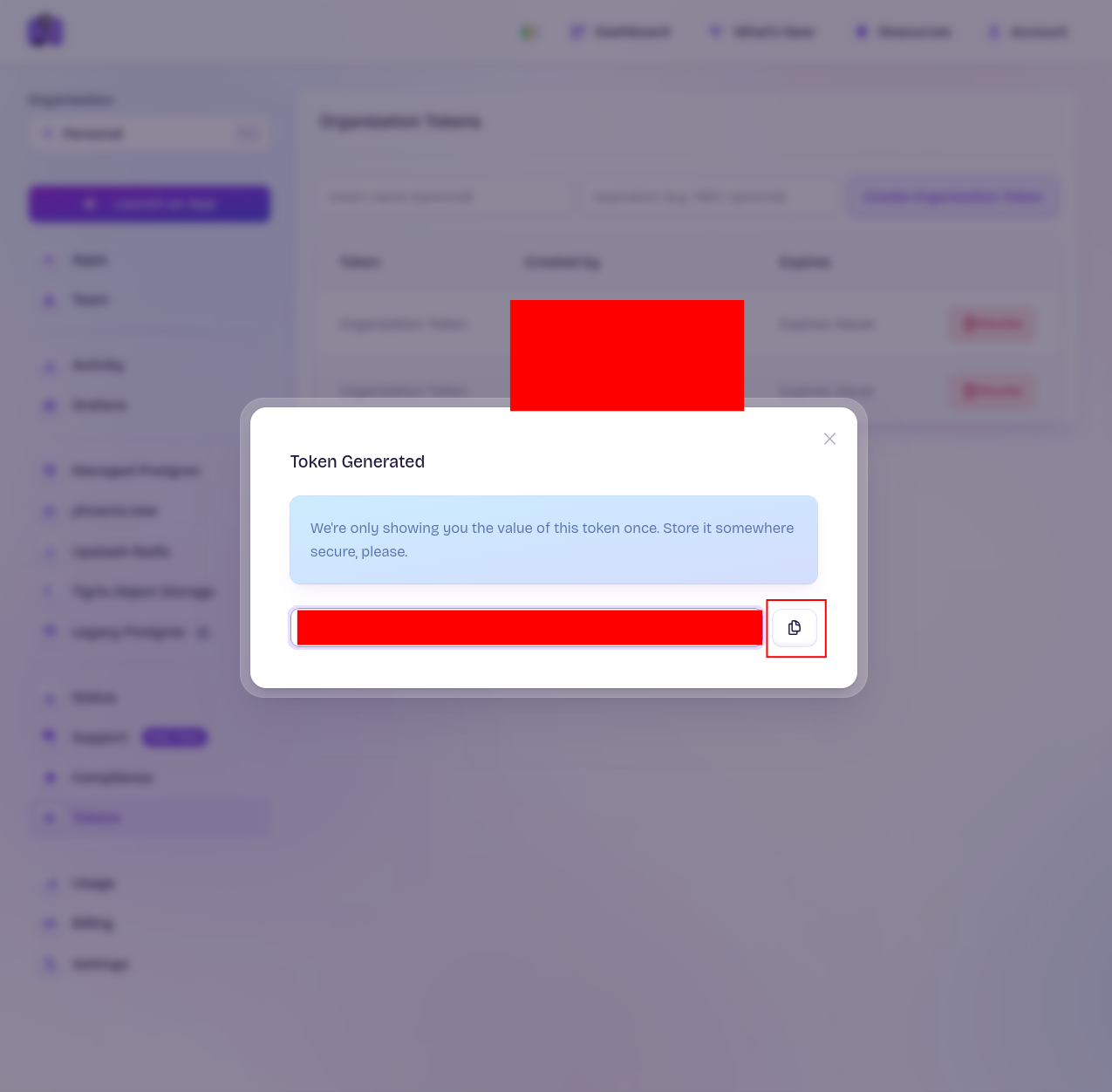 Fly Token 2